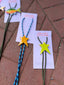 Star bolo Tie