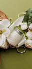Birch & bloom Signature Candle