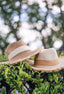 Straw Panama hats